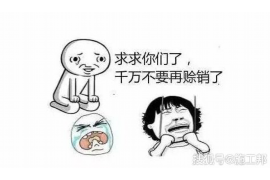 阿城阿城专业催债公司，专业催收